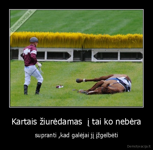 juk, nevisada, viskas, pasiseka