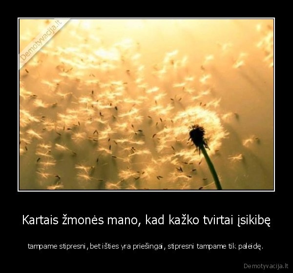 stiprybe,psichologija