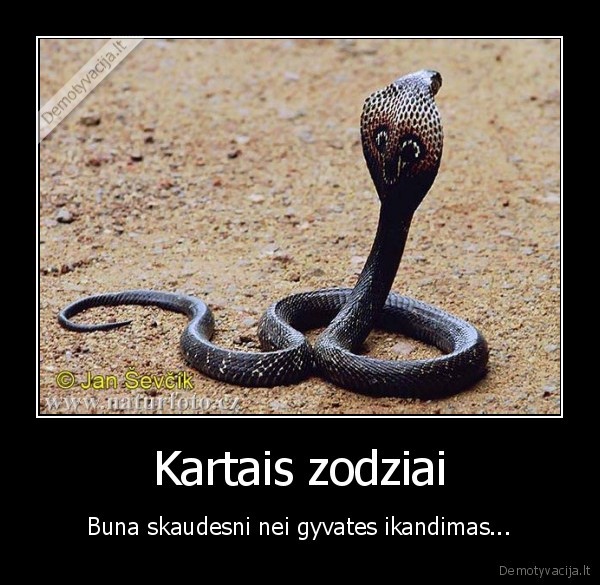 Kartais zodziai