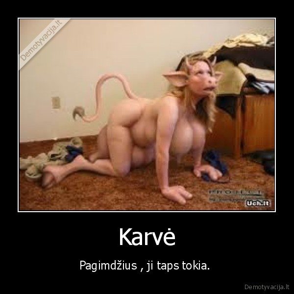 Karvė