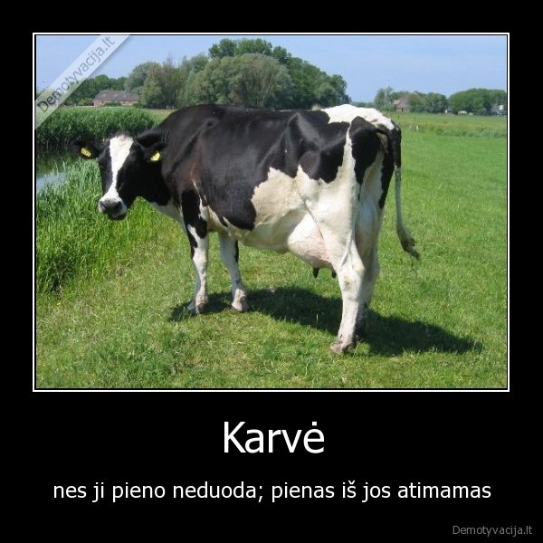 Karvė