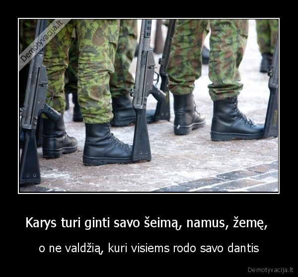 karys,kariuomene,saukiniai,valdzia