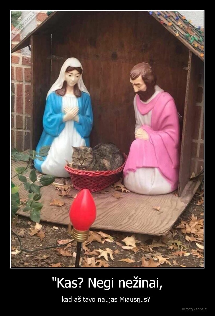 kate,katinas,mesijus,miausijus,prakartele