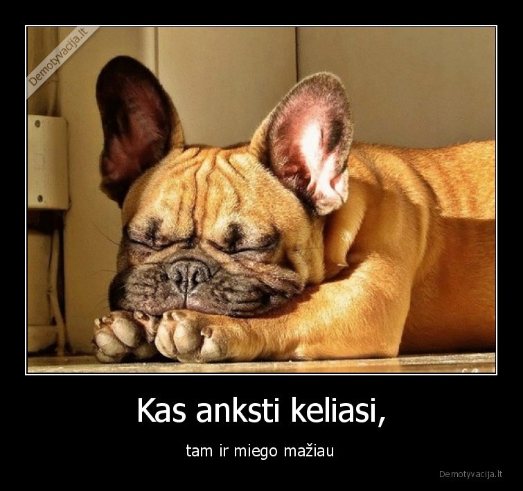 miegas,rytas,sunku, keltis,patarle