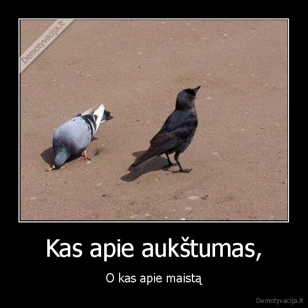 Kas apie aukštumas,