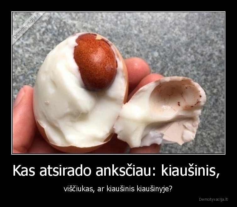 kiausinis,vista,visciukas