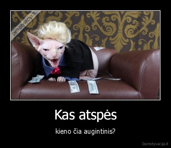 donalad, trump,kate,sukuosena,perukas,katinas