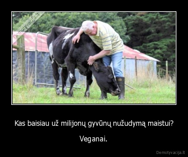 gyvunai,zudymas,veganai