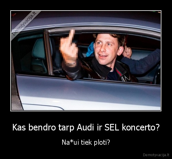 audi,selas,dragunas