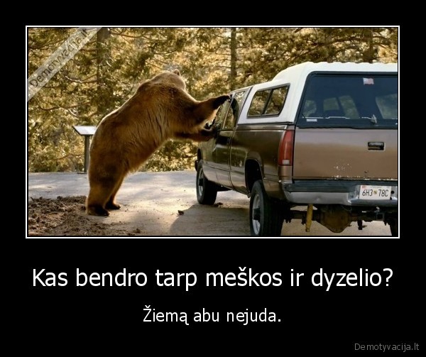 meska,dyzelis,automobolis,ziema