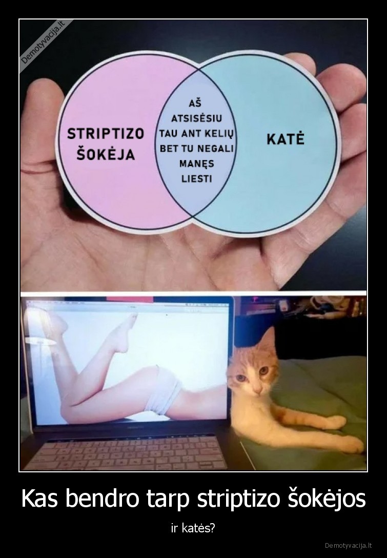 striptizas,kate,sokeja,bendra