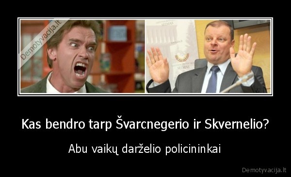 skvernelis,seimas,politika