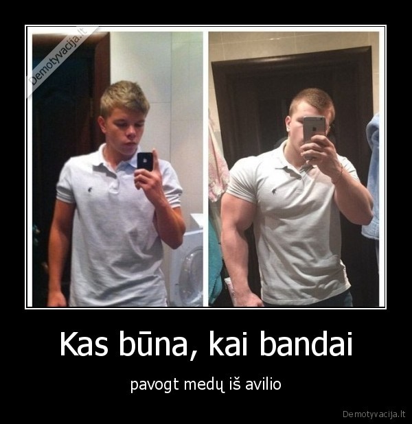 avilis,bites,raumenys