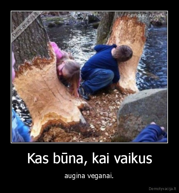 veganai,vaikai,medis,bebras