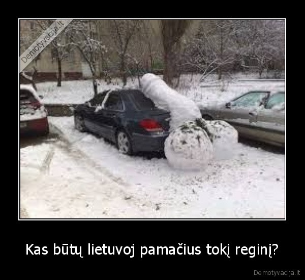 Kas būtų lietuvoj pamačius tokį reginį?