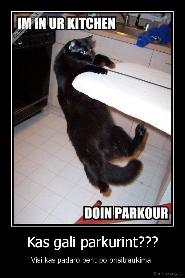 Kas gali parkurint???