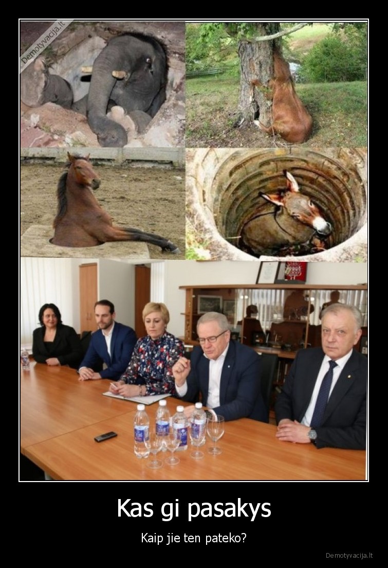 zemaitija,telsiai,politika