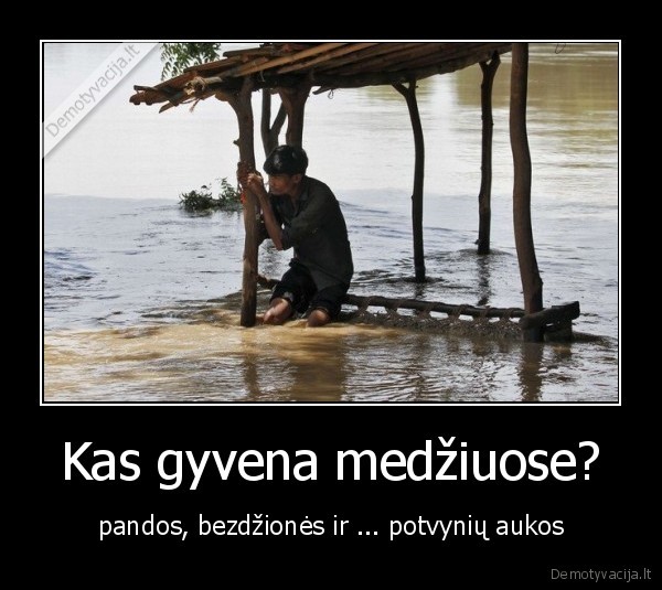 Kas gyvena medžiuose?