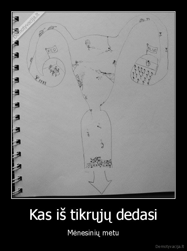 menesines,kova,kraujas