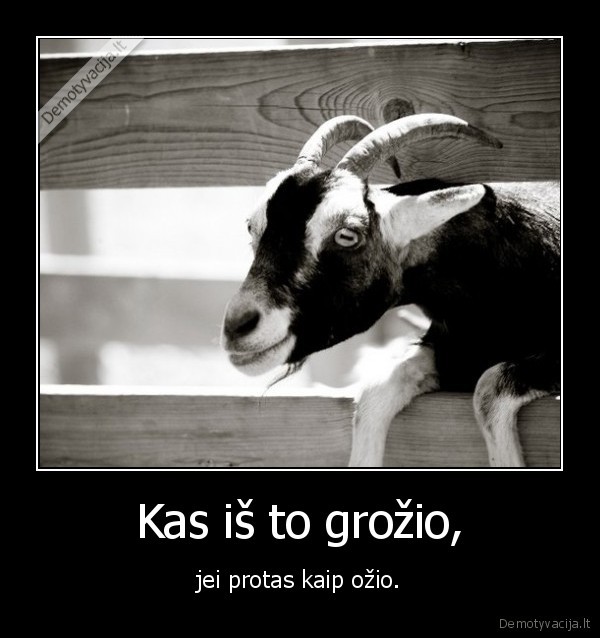 grozis,protas