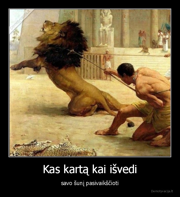 sunys,pasivaiksciojimas,gyvunai,suo,augintiniai