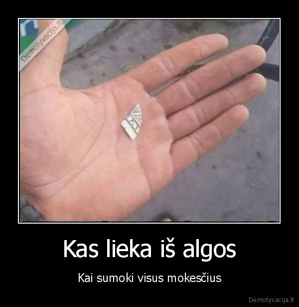 maza, alga,pinigo, skaiute