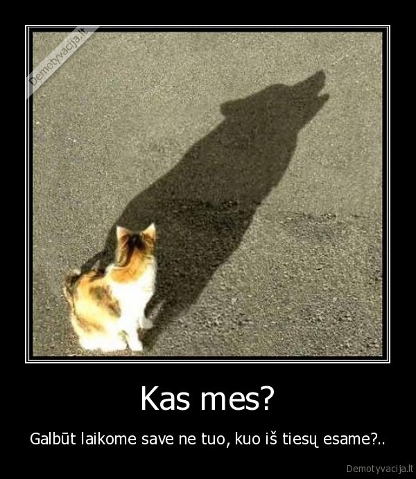 esybe,kas, as,gyvenimas,netiesa