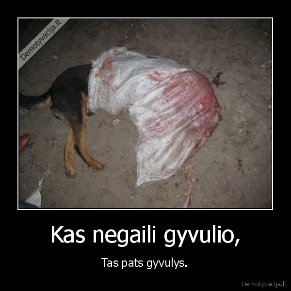 Kas negaili gyvulio,