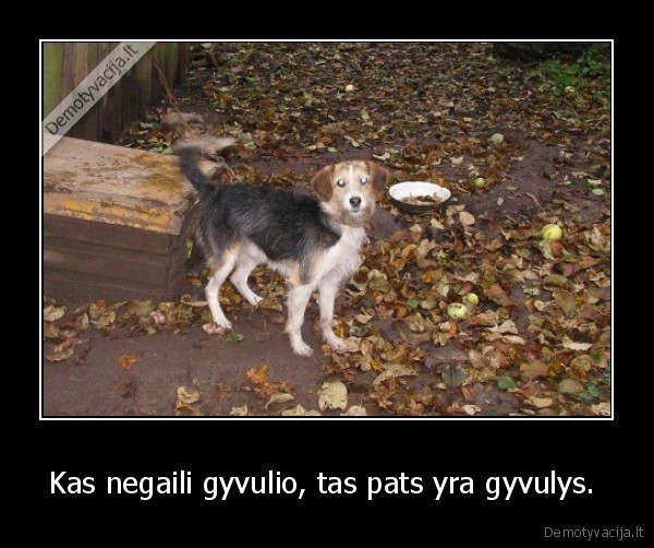 Kas negaili gyvulio, tas pats yra gyvulys. 