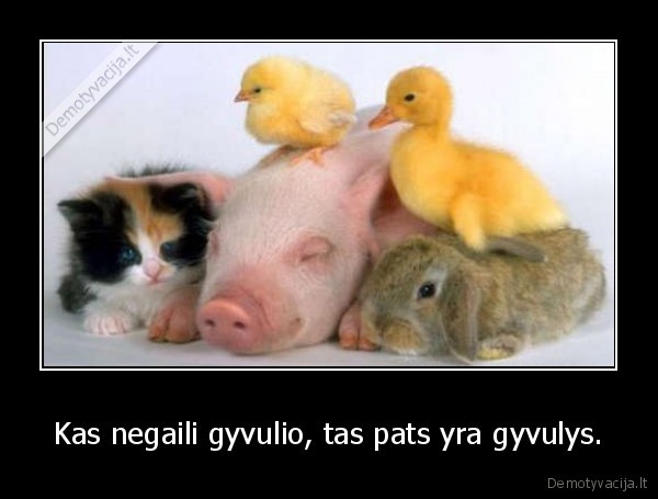 Kas negaili gyvulio, tas pats yra gyvulys.
