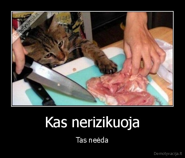 katinas, vagis,maistas,mesa