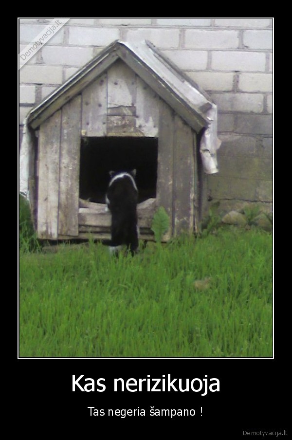 varo, tiesiai, pas, mirti