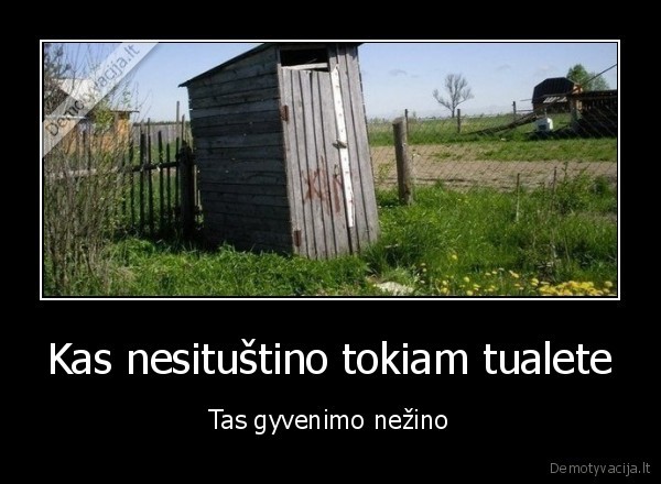 Kas nesituštino tokiam tualete