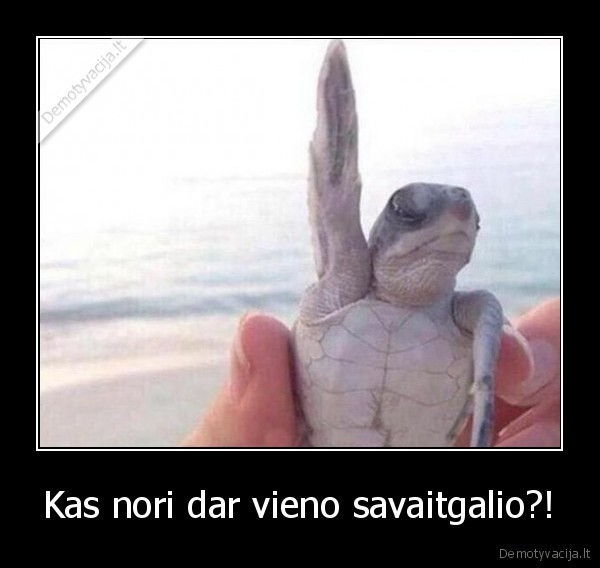 Kas nori dar vieno savaitgalio?!