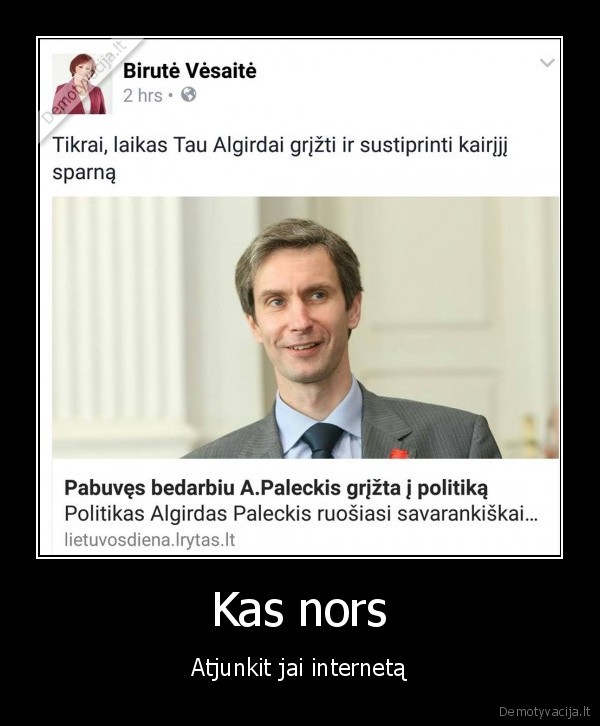 birute, vesaite,internaute
