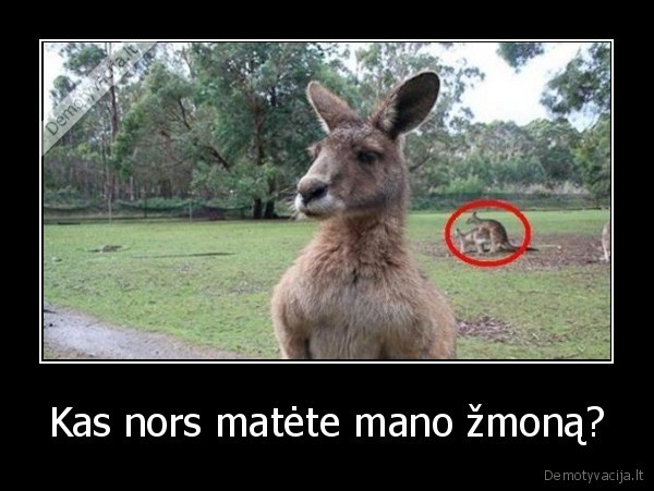 kengura,zmona,neistikima,gamta