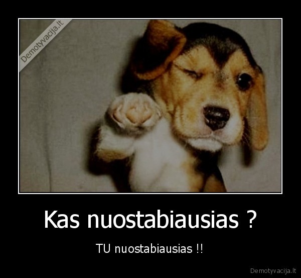 Kas nuostabiausias ?