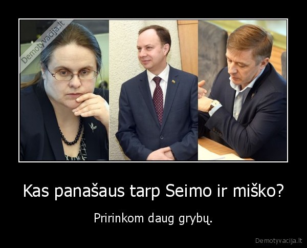 seimas,grybai,miskas