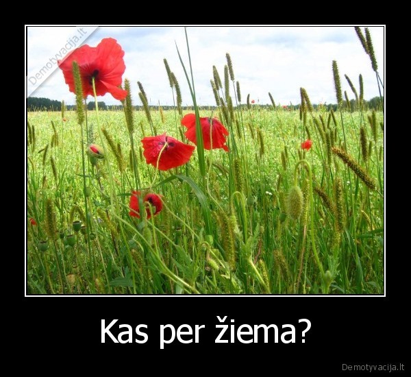 Kas per žiema?