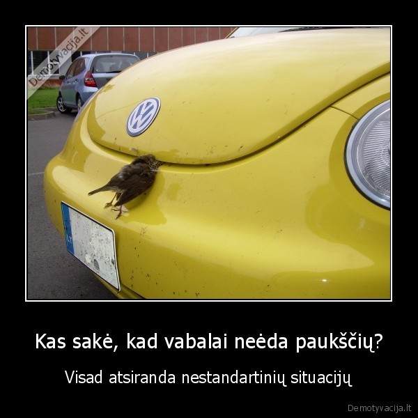 Kas sakė, kad vabalai neėda paukščių?