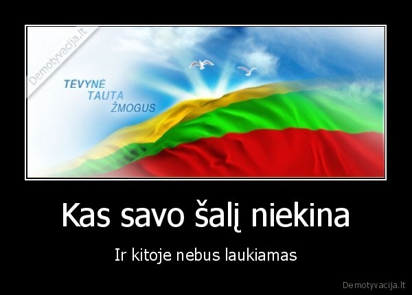 lietuva,patriotizmas,meile,tevyne