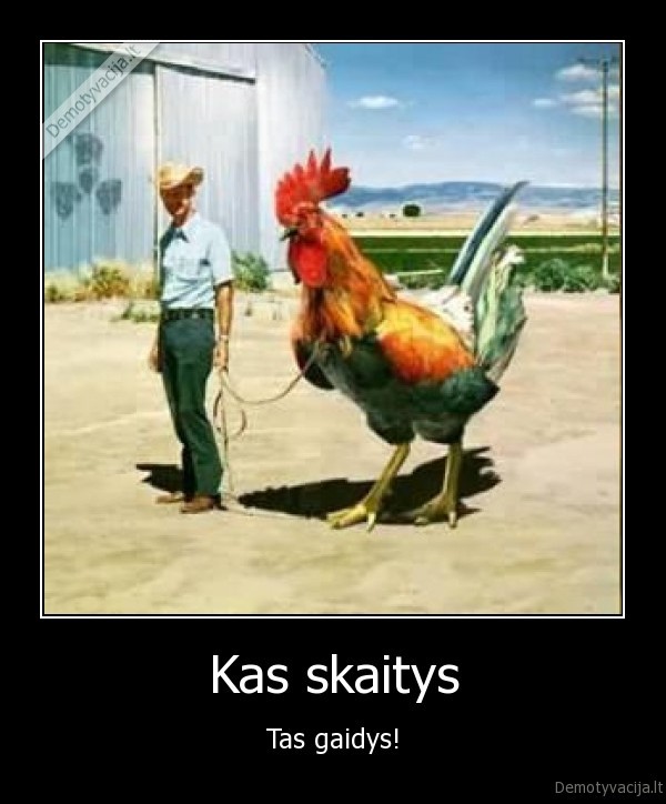 Kas skaitys