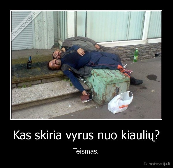 vyras,kiaule,teismas