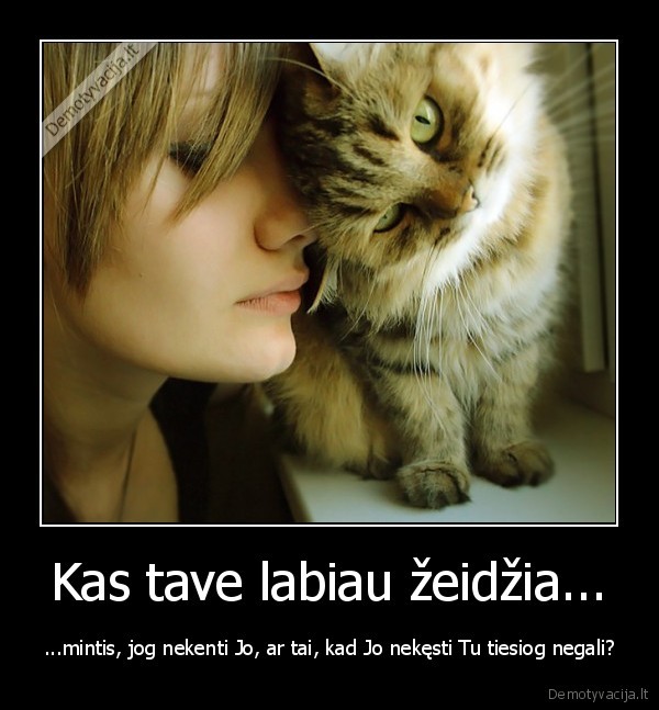 Kas tave labiau žeidžia...