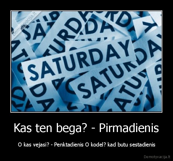 Kas ten bega? - Pirmadienis