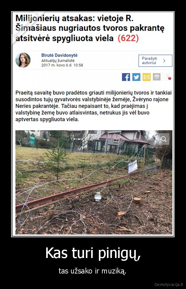 tvora,nelegali,pinigai