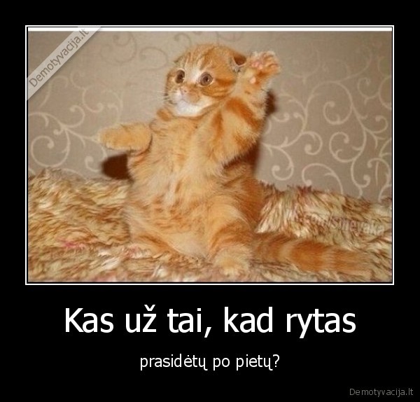 Kas už tai, kad rytas