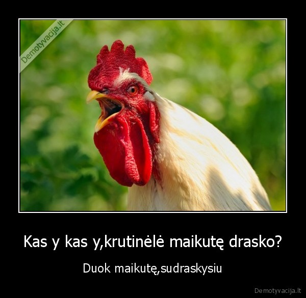 Kas y kas y,krutinėlė maikutę drasko?