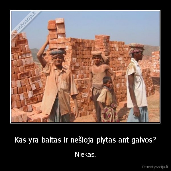 Kas yra baltas ir nešioja plytas ant galvos?