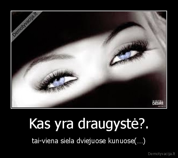 Kas yra draugystė?.